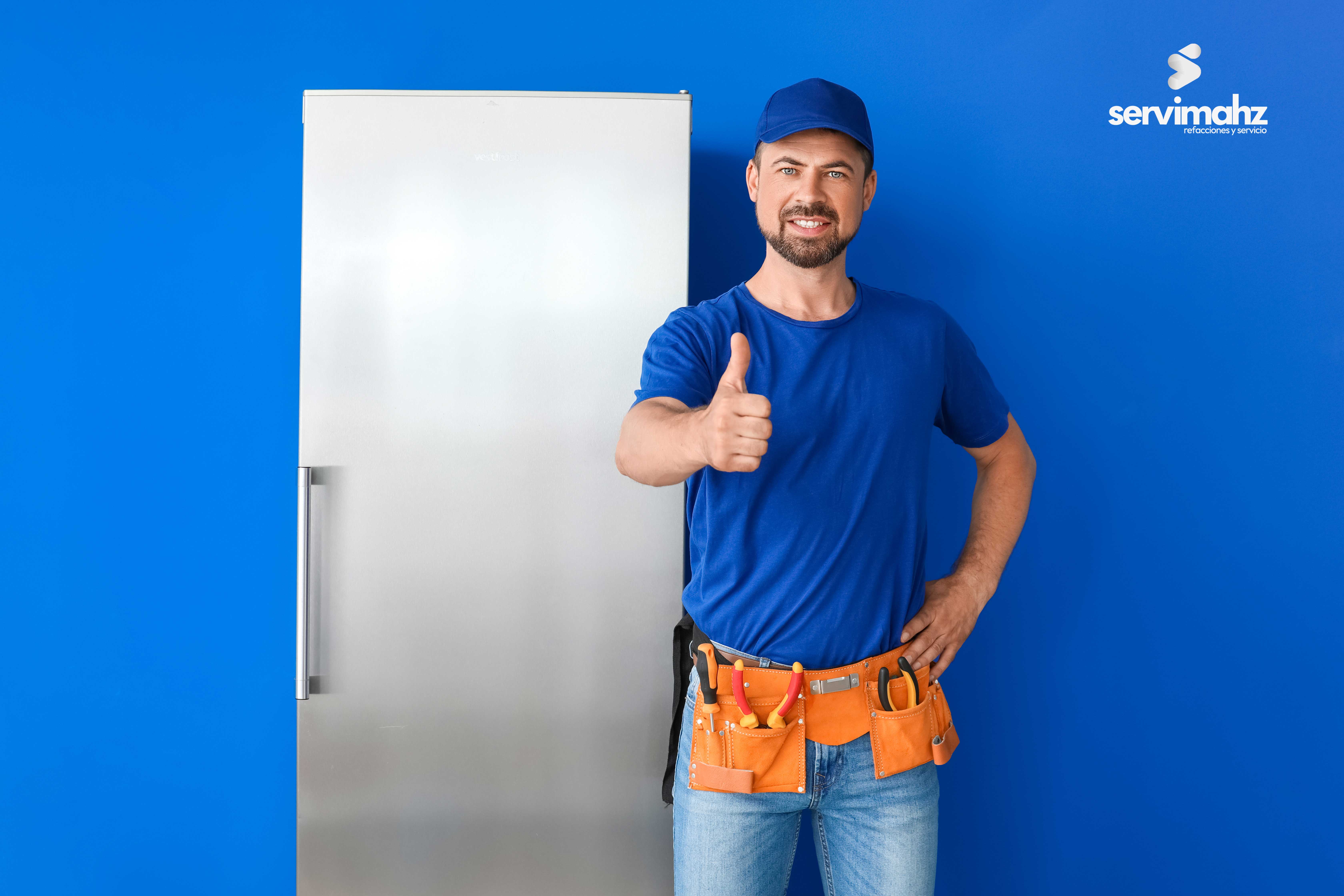 Técnico profesional de Servimahz